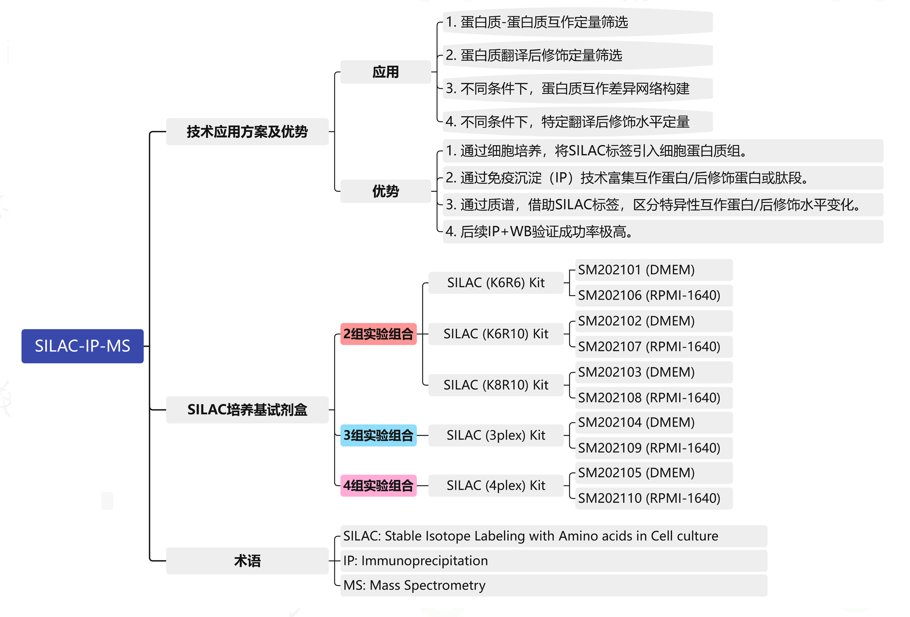 SILAC-IP-MS2