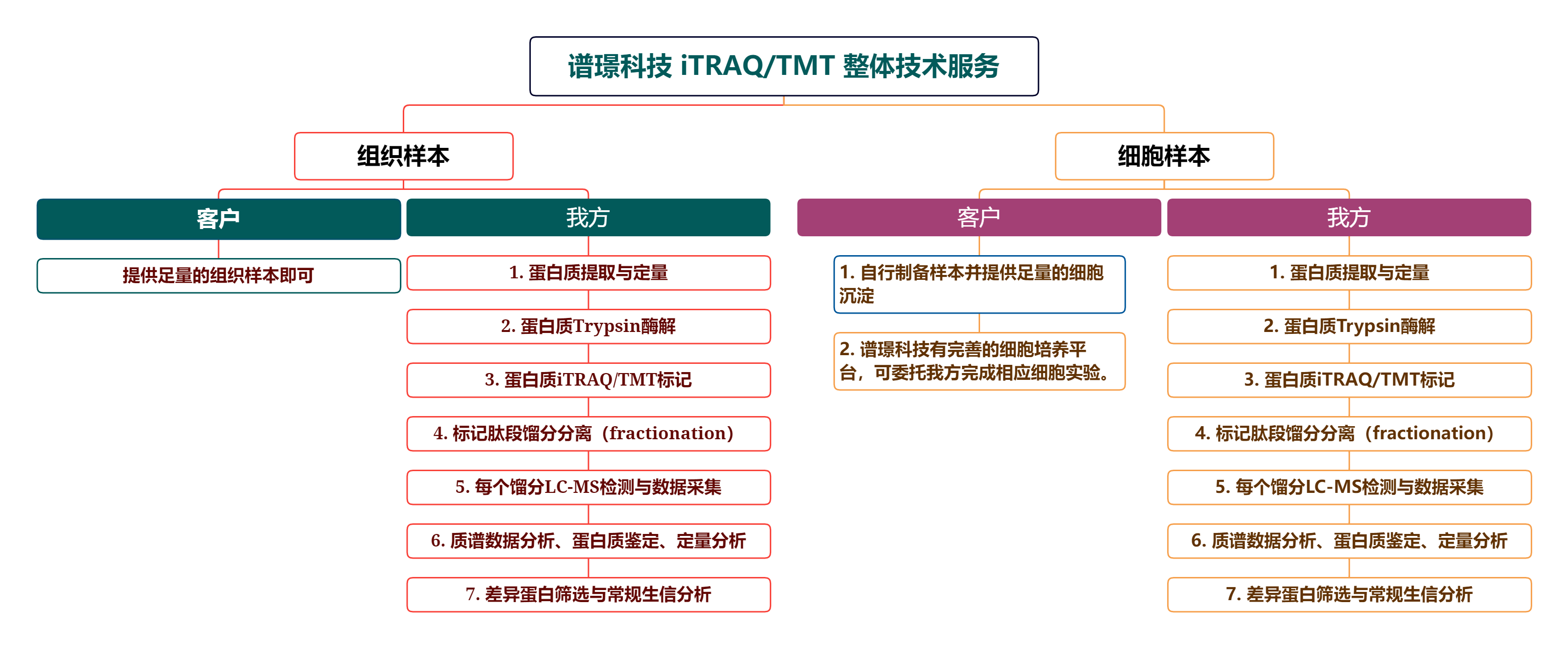 TMT 整体技术服务