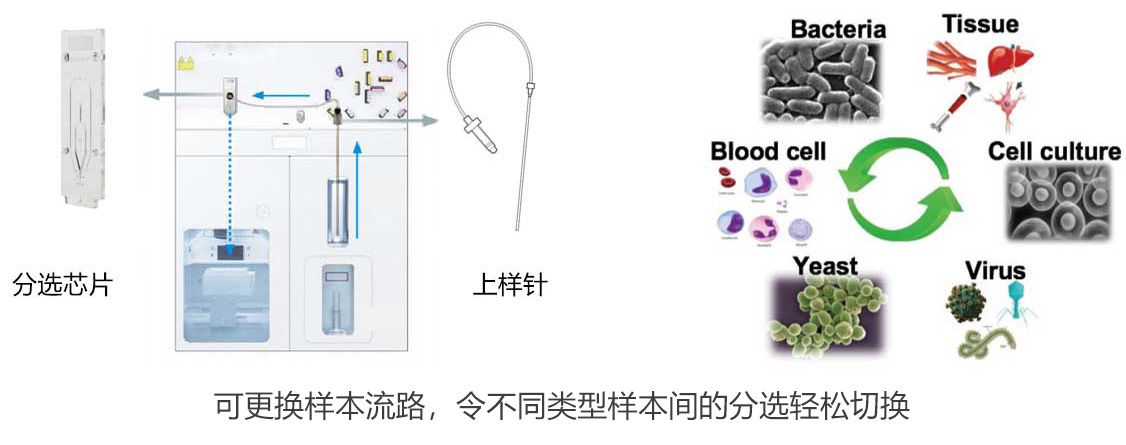 MA900 多功能流式分选仪