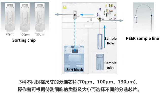 SH800S 细胞分选机