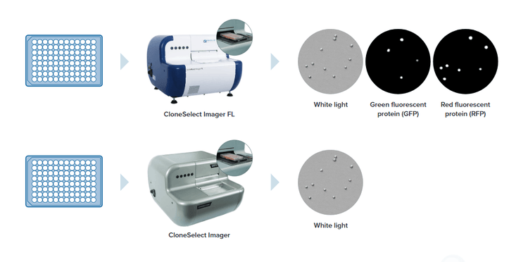 CloneSelect Imager（CSI和CSI FL）细胞生长分析系统