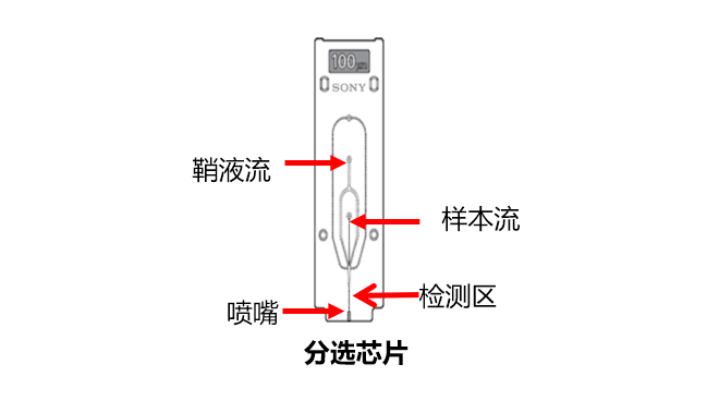 MA900 多功能流式分选仪